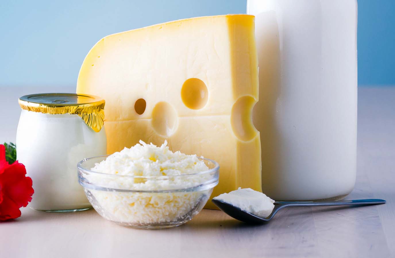 Artisanal Kosher Dairy